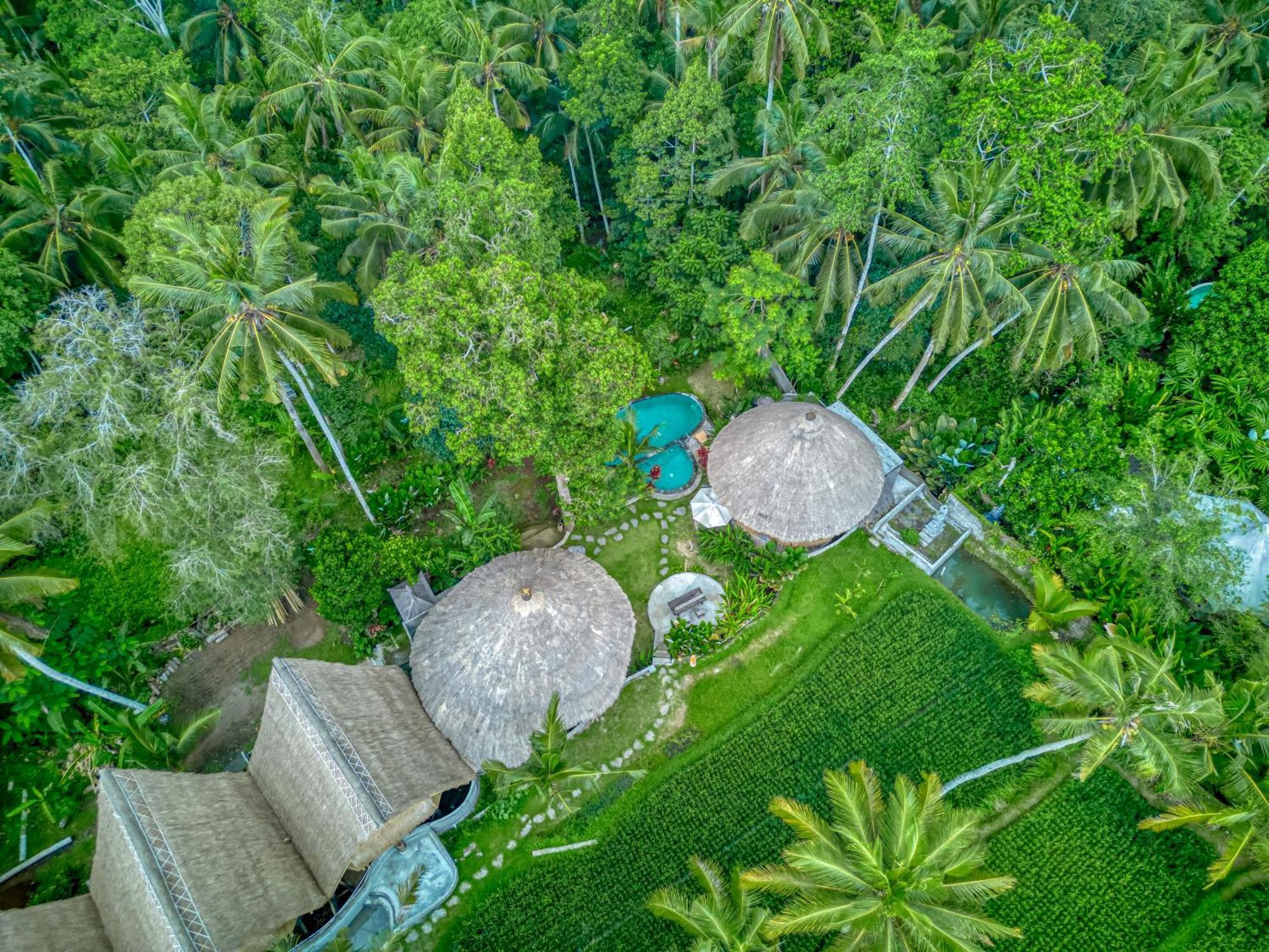 Bamboo Cabin Sanctuary By Nusantara Hospitality Ubud Eksteriør bilde